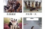 当你和朋友约好一起玩服！